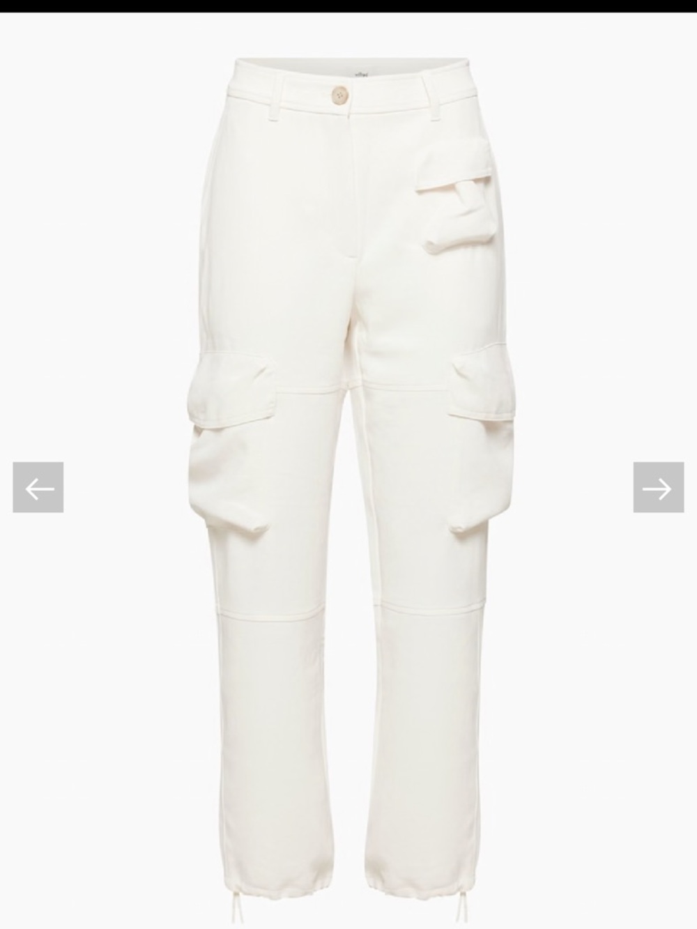Aritzia Wilfred Birch Project Cargo Pants